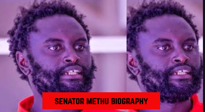 senator methu biography